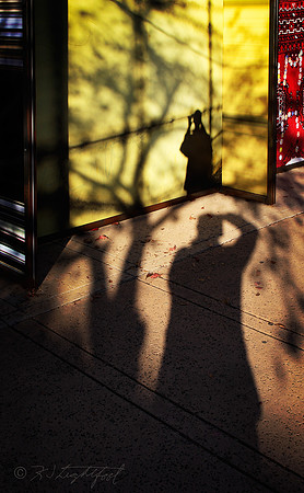 Shadows of the Observers