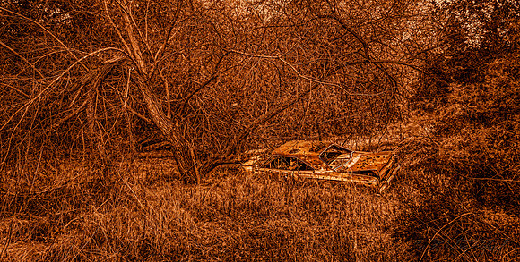 Abandoned 2