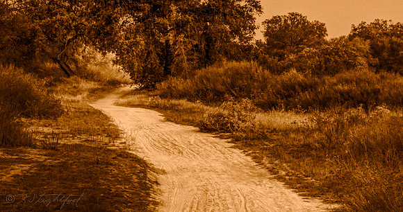 Pathway Out 1