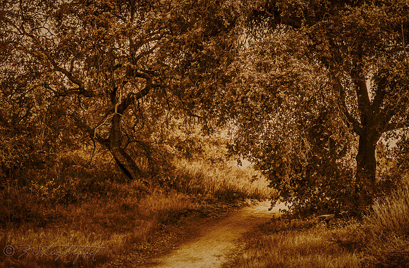 Pathway Out 3