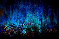 Botanical Gardens Christmas 2025 156 Tpz denoise 800w