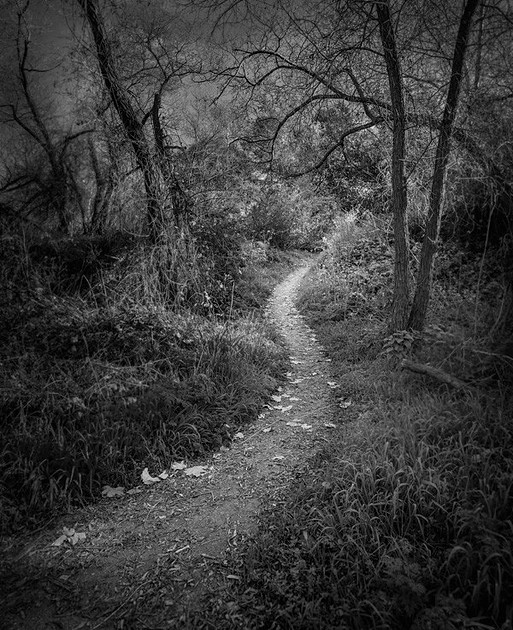 Santa Margarita County Preserve 600 Pixels Wide