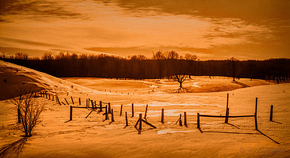 Michigan Winter