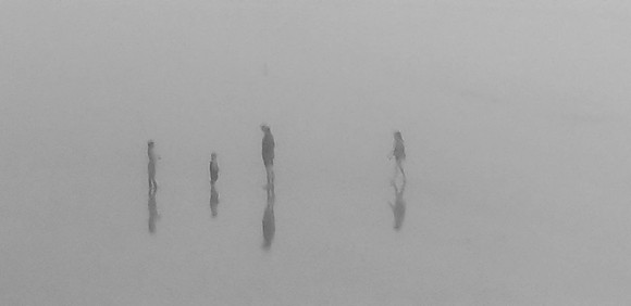Fog Family