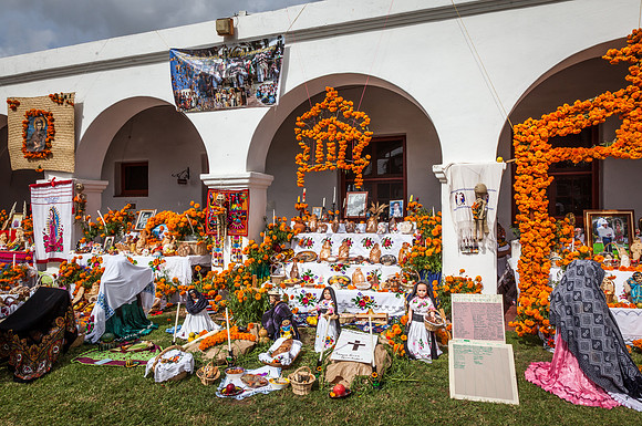 MSLR Dia de los Muertos 2014 253
