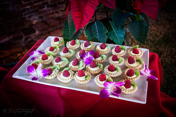 MSLR Christmas Appetizers