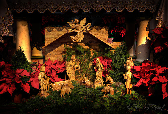 MSLR Nativity Scene 2009 6346