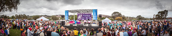 MSLR Dia de los Muertos 2014 106 pano