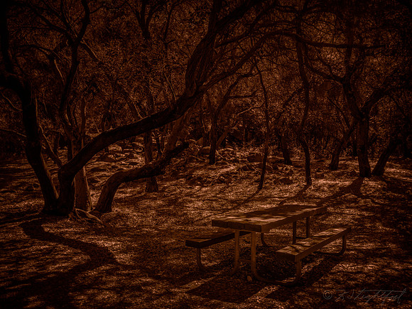 Lone Picnic Table 1