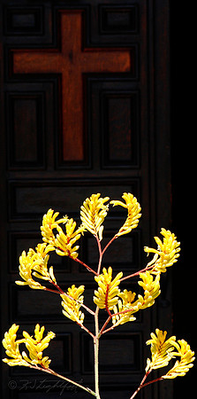 Chapel Door & Blossoms