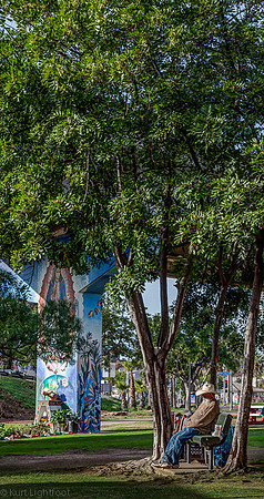 Chicano Park 141221 128