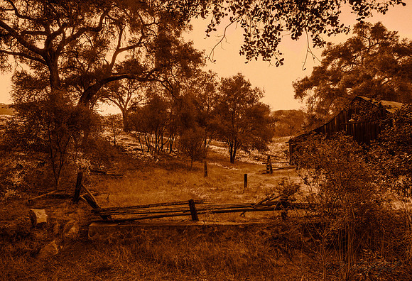 Abandoned Ranch