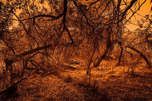 Abandoned 1